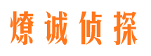 桃源侦探公司